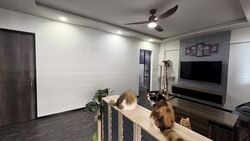 Blk 842 Woodlands Street 82 (Woodlands), HDB 4 Rooms #617544701